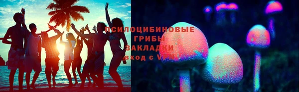 СК Вязьма