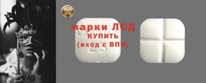 СК Вязьма
