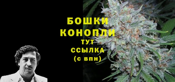 СК Вязьма