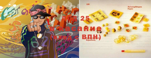 СК Вязьма